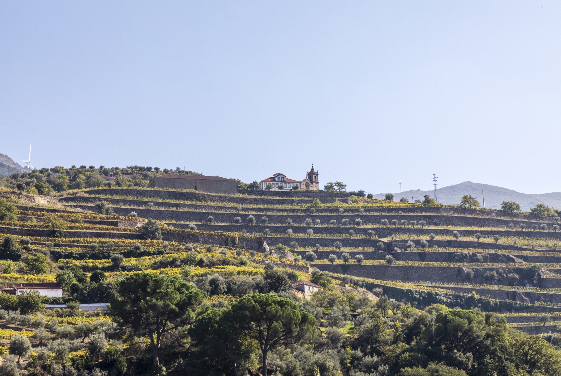 Douro River Cruise Portugal 2023